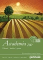 accademia.3.webp